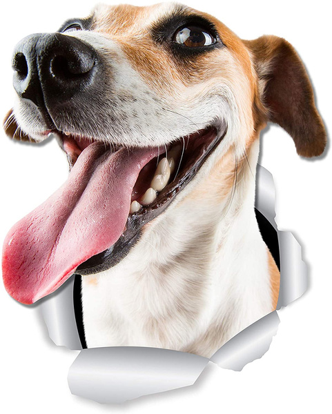 A Dog in One Pack- Jack Russell Terrier
