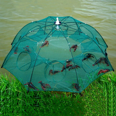 strengthened, Umbrella, fish, shrimp