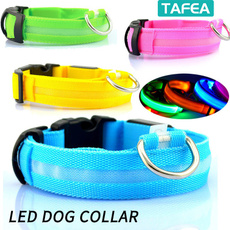 Sport, Dog Collar, dogcollarlight, Pets