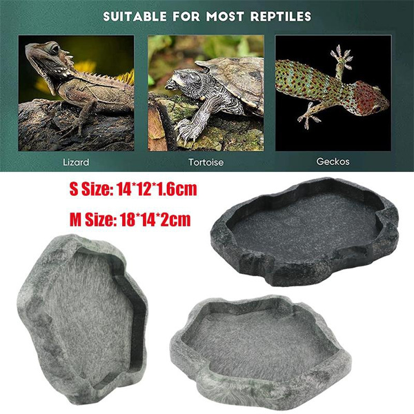 Reptile Water Dish Food Bowl Rock Worm Feeder For Leopard Gecko Lizard