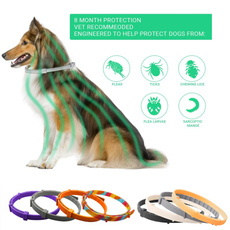pet dog, Dog Collar, Pets, Pet Products
