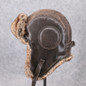 thumbnail - 1