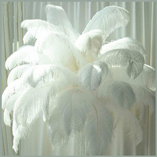 party, fluffy, ostrichfeather, whitefeather