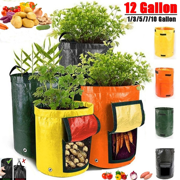 grow bags 12*12 plant bags for gardening poly bags growing bags - 7 years  long