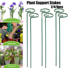 plantsupportcage, gardeninglawncare, 植物, Flowers