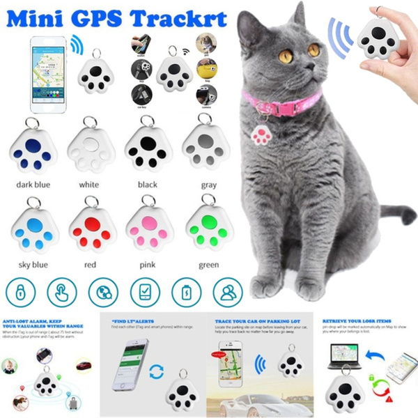 Pet locator for outlet cats