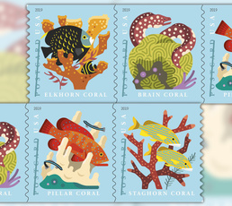 postagestamp, 1000stamp, postcardstamp, coralreef