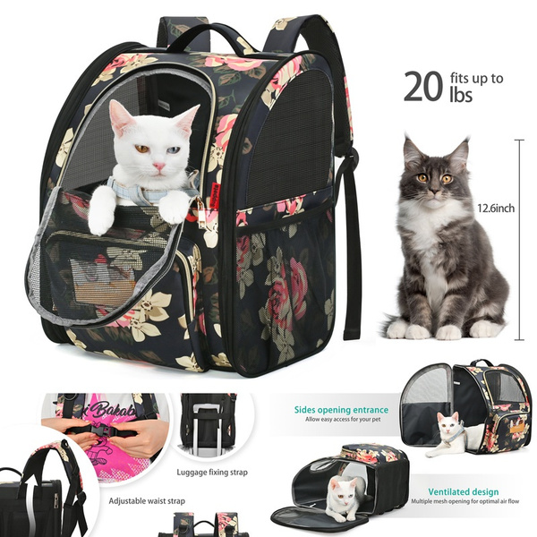 Pet backpack deals with window