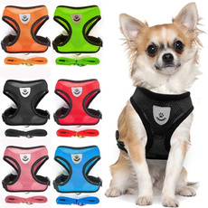 Vest, puppy, Breathable, petvest