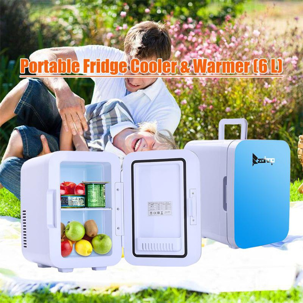 Mini Fridge, 6 L Portable Fridge, Cooler And Warmer Compact Small ...