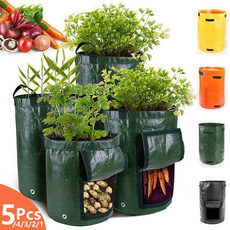 flowerpot, uv, Garden, plantcontainer