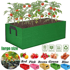 Box, gardenbed, Plants, Flowers