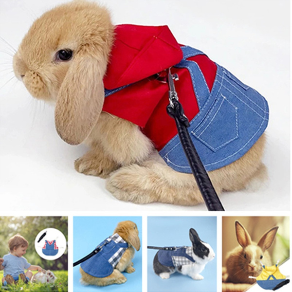 Pet Rabbit Clothes Guinea Pig Rabbit Baby Rabbit Clothing Accessories ...