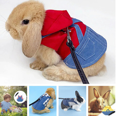 Vest, Outdoor, rabbit, Pets