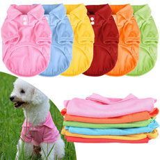 Summer, puppy, Shirt, Pets