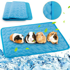 Animal, rabbit, hamster