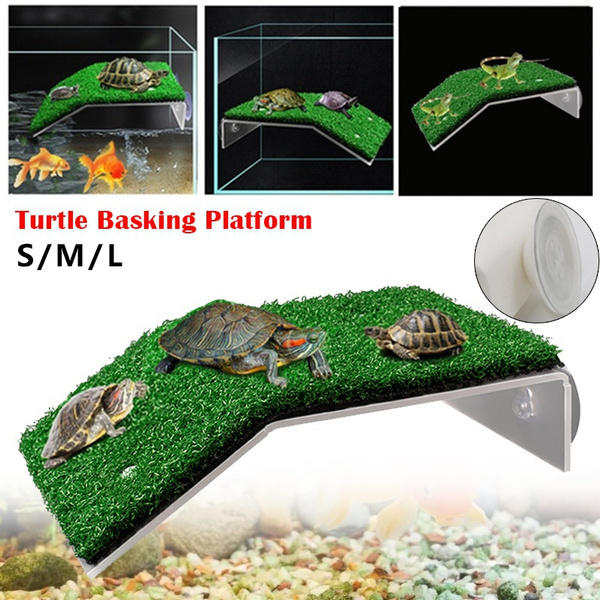 3 Sizes Turtle Basking Platform Acrylic Tortoise Ramp Ladder Resting