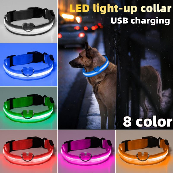 LED Light Night Safety Lightup Flash Sport Collar For Dogs Cats Nylon