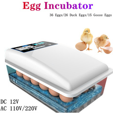 quaileggsincubator, poultryincubator, incubatoreggtray, incubatorthermostat