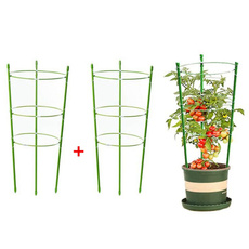 tomato, Plants, Garden, Frame
