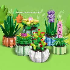 decoration, succulentplant, Toy, pottedflower