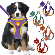 Vest, dogsafetyvest, Dog Collar, dogleashesandcollar