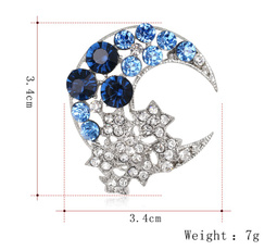 Fashion, Star, Jewelry, Pins