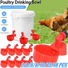 fowldrinker, chickenwatercup, waterfeeder, poultrywaterdrinking