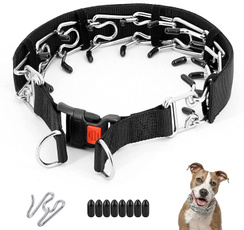 Adjustable, Dog Collar, Pets, Buckles