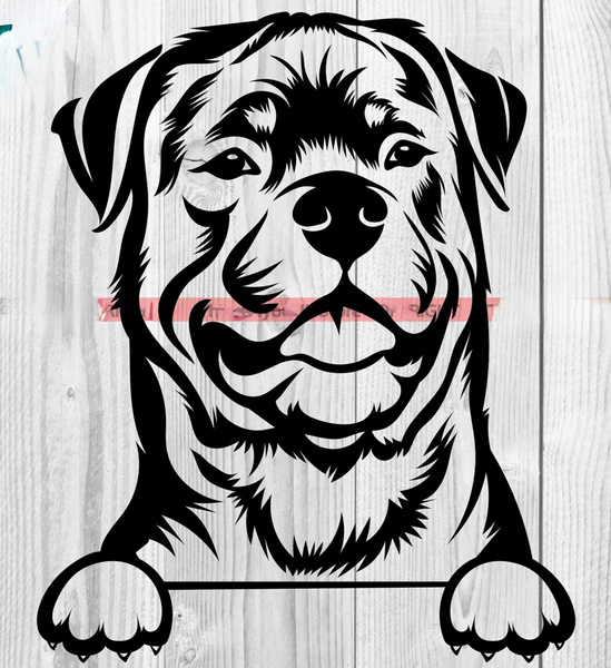 2pack, Rottweiler Vinyl Decal Sticker Car Stickers | Wish