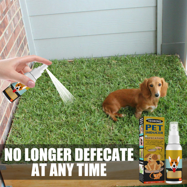 30ml Pet Dog Spray Inducer Dog Toilet Training Puppy Positioning