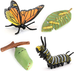 butterfly, Toy, Educational Toy, animalgrowthtoy