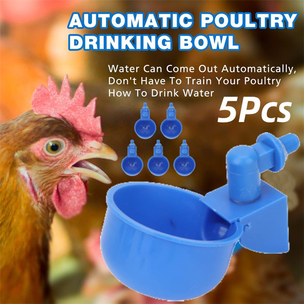 Automatic Chicken Water Cup Large Waterer Kit For Poultry Automatic