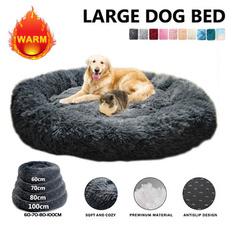 Medium, Winter, Pets, fluffy