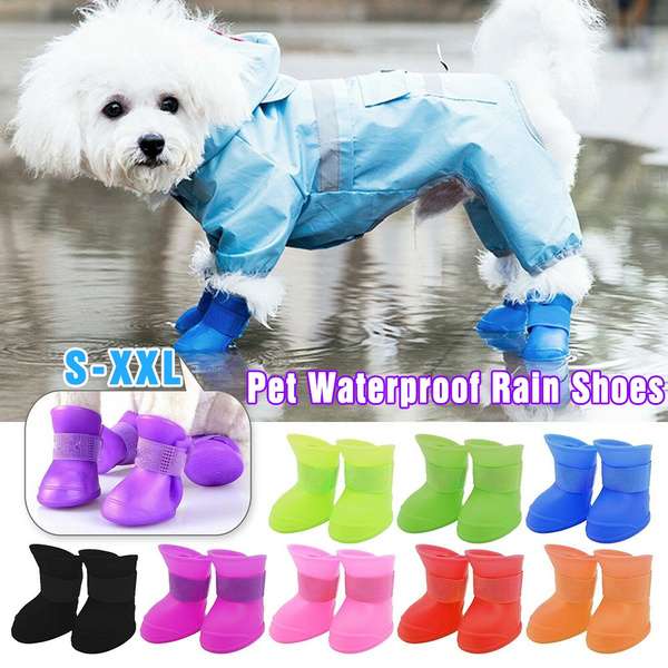 Puppy in hot sale rain boots