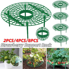 Plants, Flowers, Gardening, Stand