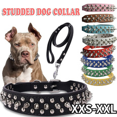 Dog Collar, Necks, rivetcollar, punk