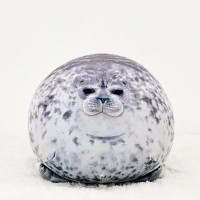 Cheap Plush Seal, Top Quality. On Sale Now. | Wish