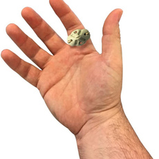 furyweapon, knuckleboxing, Combat, knuckleduster