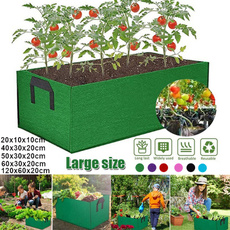 Box, gardenbed, 植物, Flowers