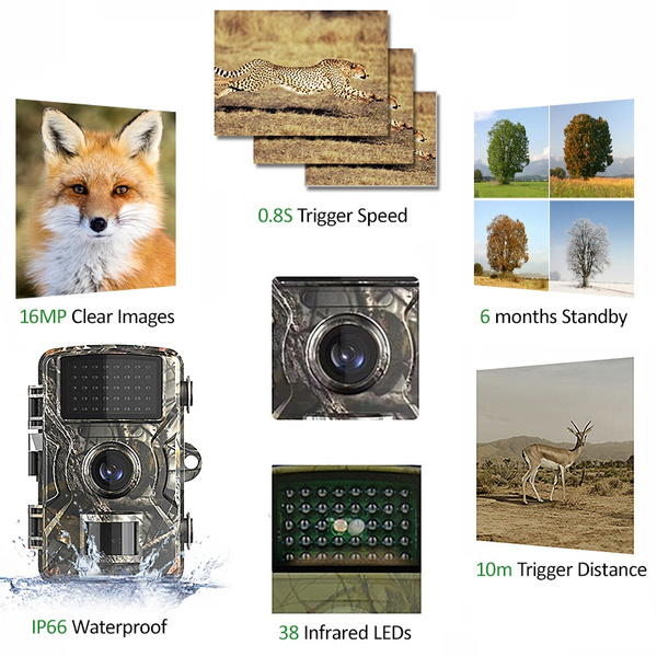 Outdoor, Hunting, Waterproof, Photography