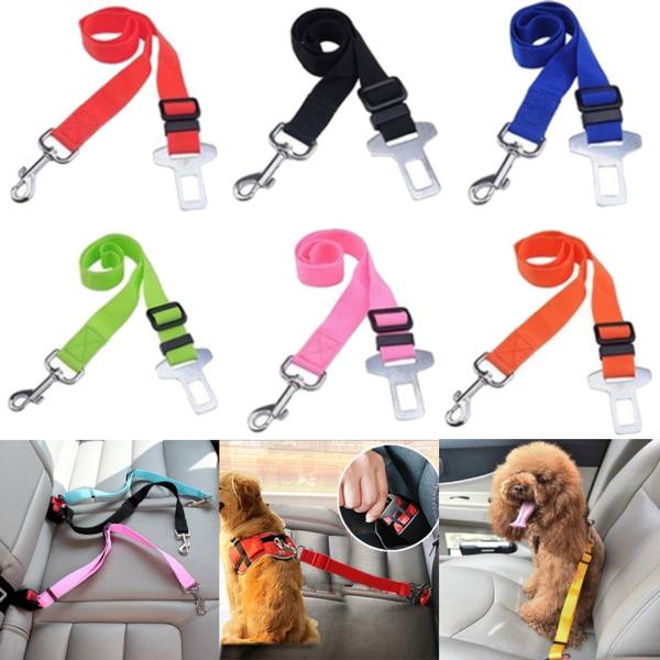 dog safety leash car seat belt