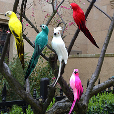 simulationbird, Garden, Parrot, Ornament