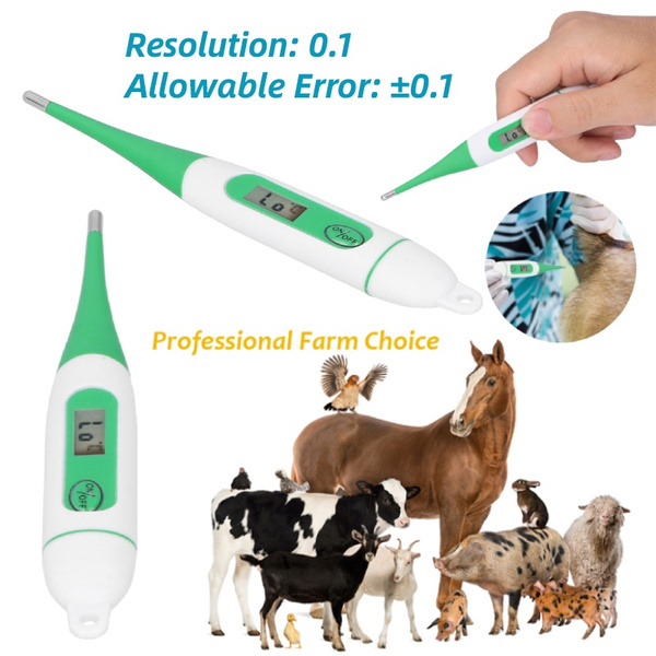 Pet Veterinary Thermometer, Pet Accurate Fever Detection