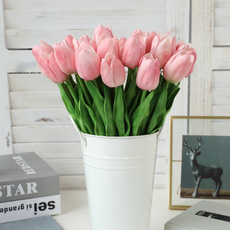 Beautiful, puflower, Plants, Flowers