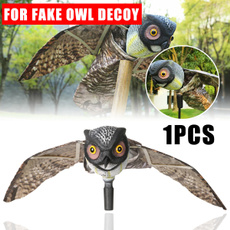 Owl, prowlerowl, Garden, sparrow