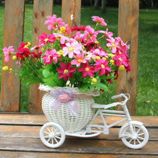 Bikes, Flowers, Bicycle, Sports & Outdoors