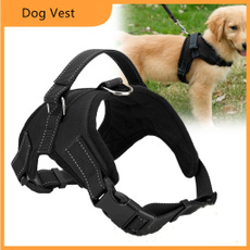 Vest, Dog Collar, Pets, dogharne