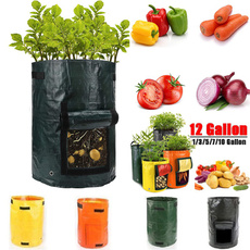 seedsgrowbox, tomatoholder, Garden, plantcontainer