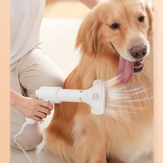 Hair Dryers, doggrooming, Electric, Beauty